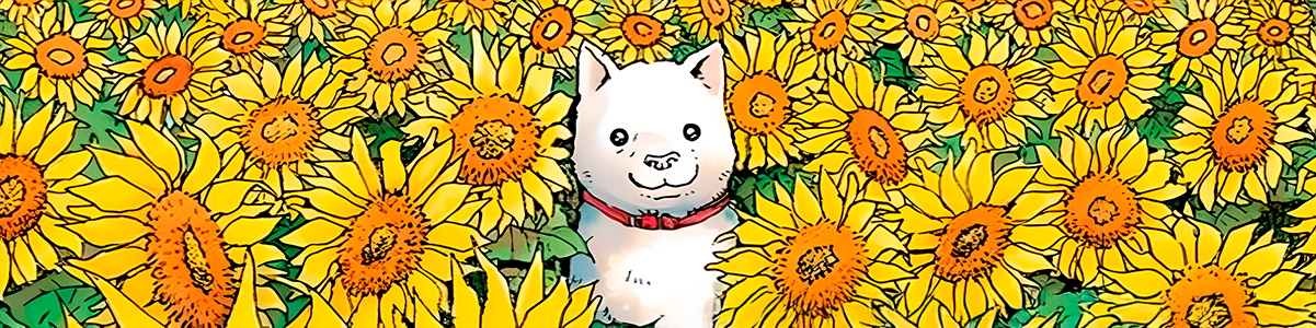 Review: Pino e O Cão que Guarda as Estrelas — duas histórias que vão fazer você chorar